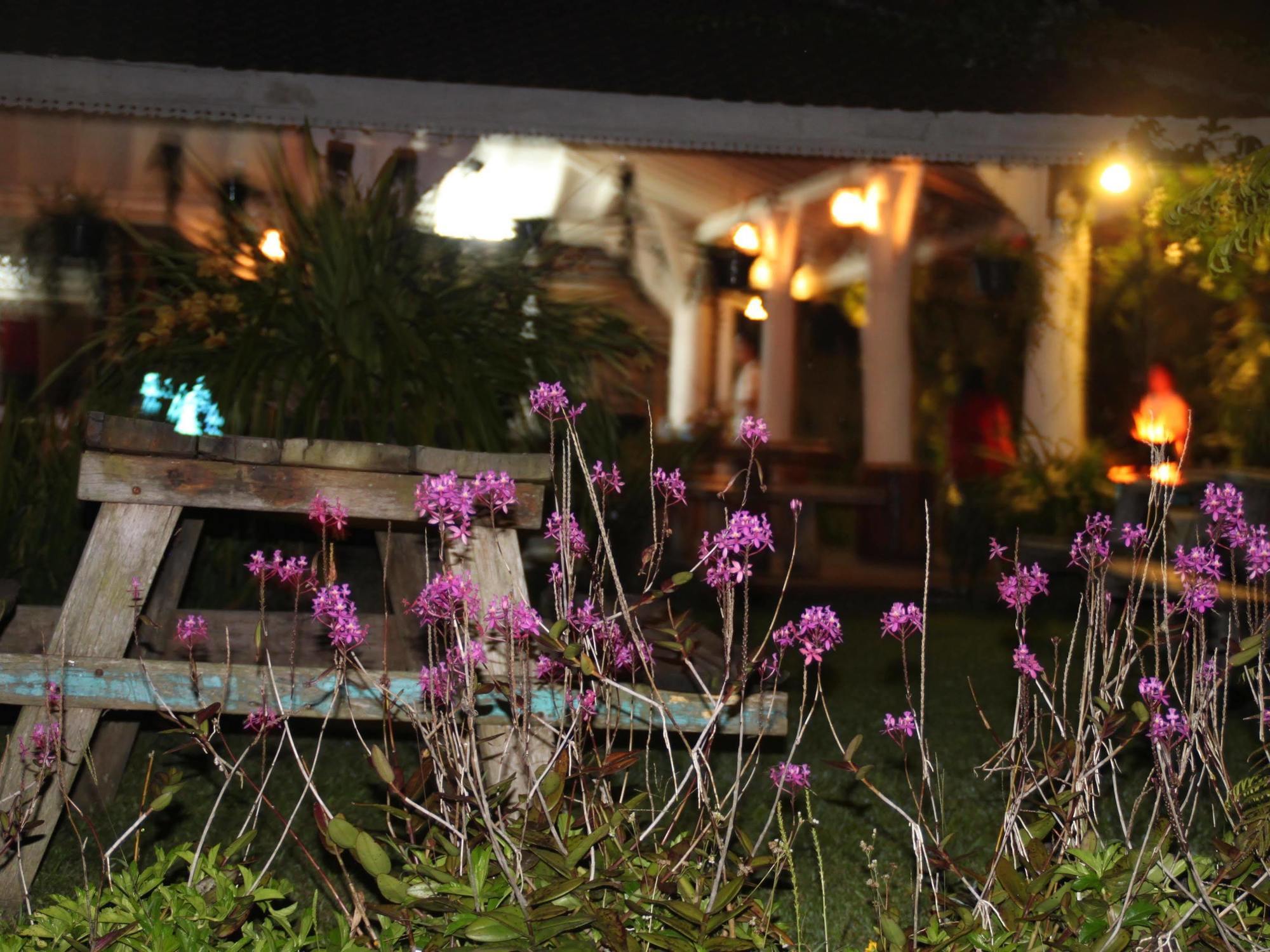 Warung Rekreasi Bedugul Hotel Exteriör bild