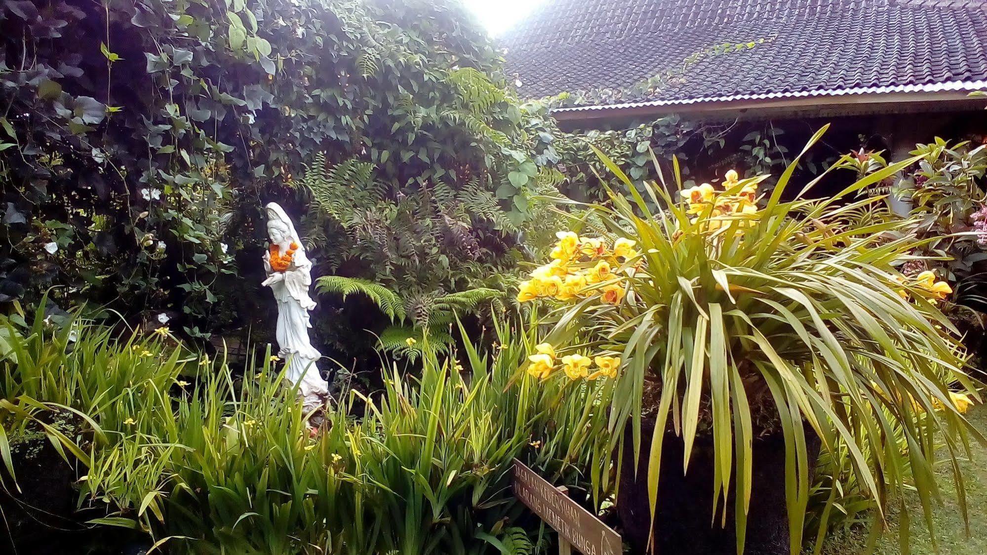 Warung Rekreasi Bedugul Hotel Exteriör bild